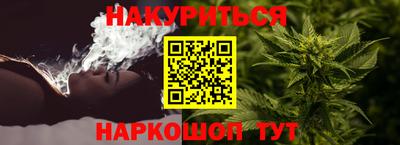 прущие грибы Малгобек