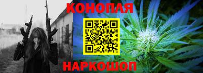 прущие грибы Малгобек