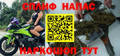 прущие грибы Малгобек