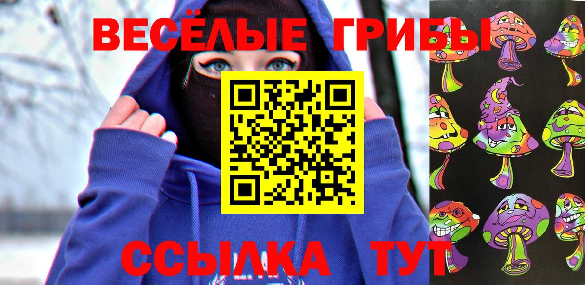 Галлюциногенные грибы Cubensis Глазов