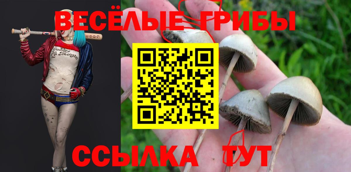 хочу   Галлюциногенные грибы Psilocybe  Вход с VPN  Глазов  Галлюциногенные грибы Magic Shrooms 